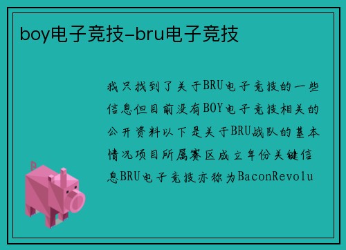 boy电子竞技-bru电子竞技